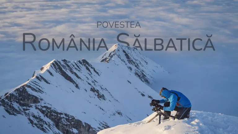 România Sălbatică