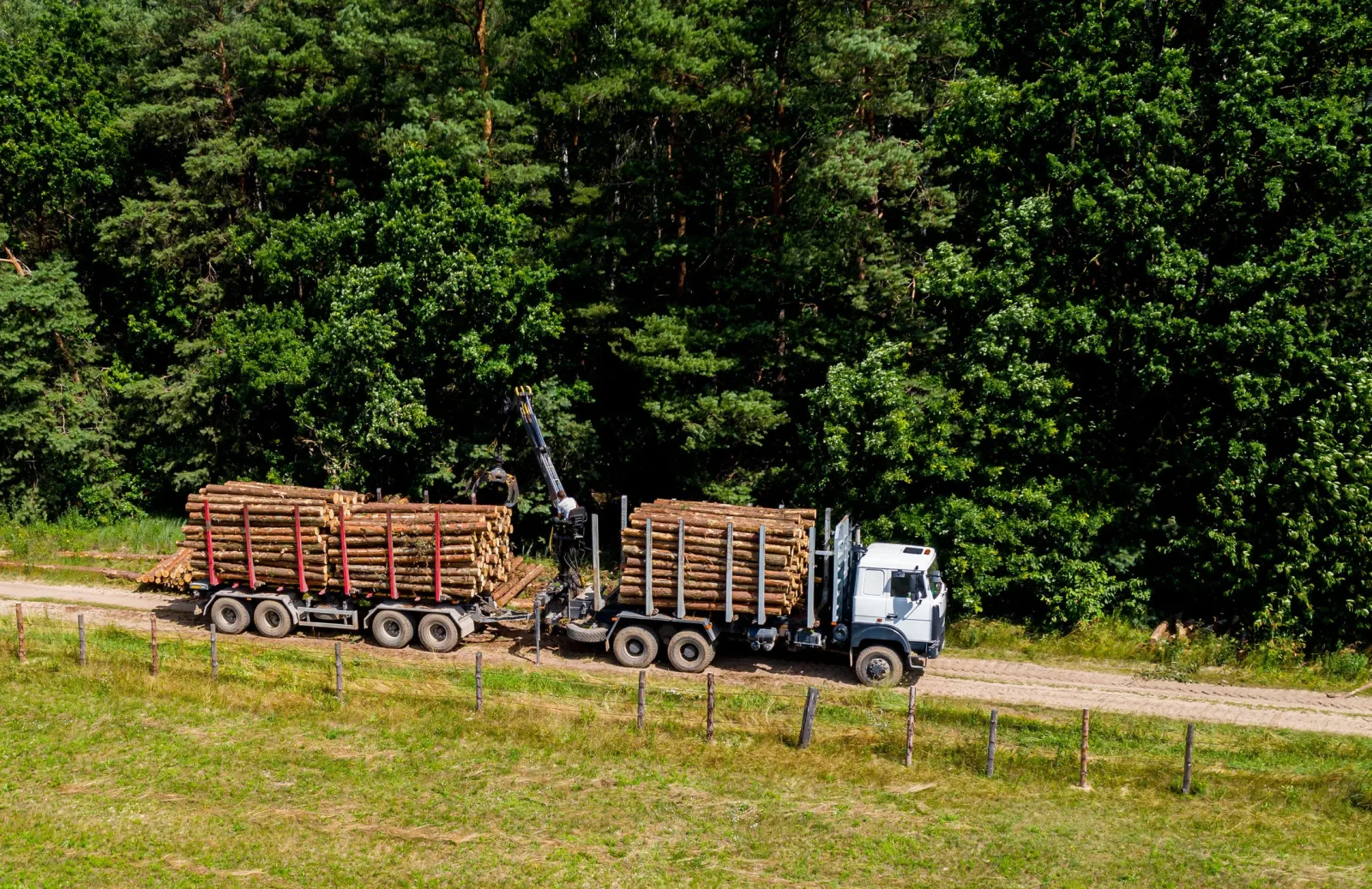 deforestation and logging top view. Trucks take away logs. Fores
